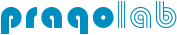 Primary Raster logo